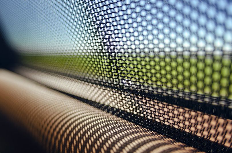Nahaufnahme des Insektenschutzes an einem Fenster